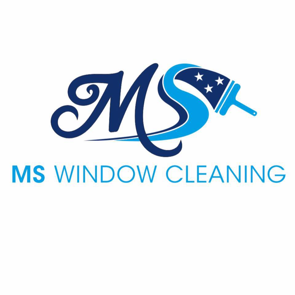 mswindowcleaning